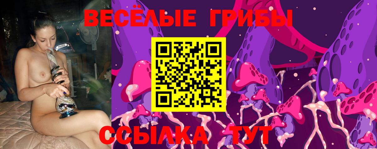 Псилоцибиновые грибы мицелий  Галлюциногенные грибы Psilocybine cubensis  Вход с VPN  Минеральные Воды 