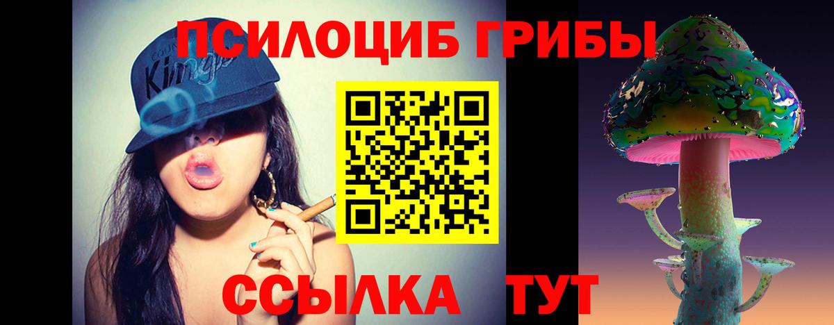 Галлюциногенные грибы мицелий Минеральные Воды